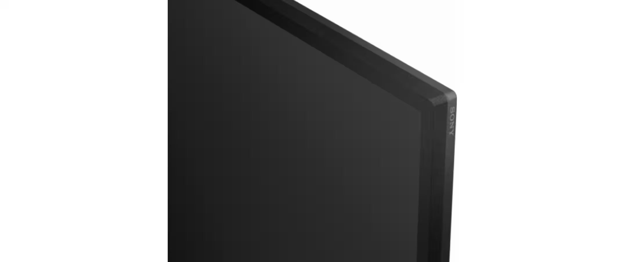 Sony Public Display FW-43BZ30L 43 "