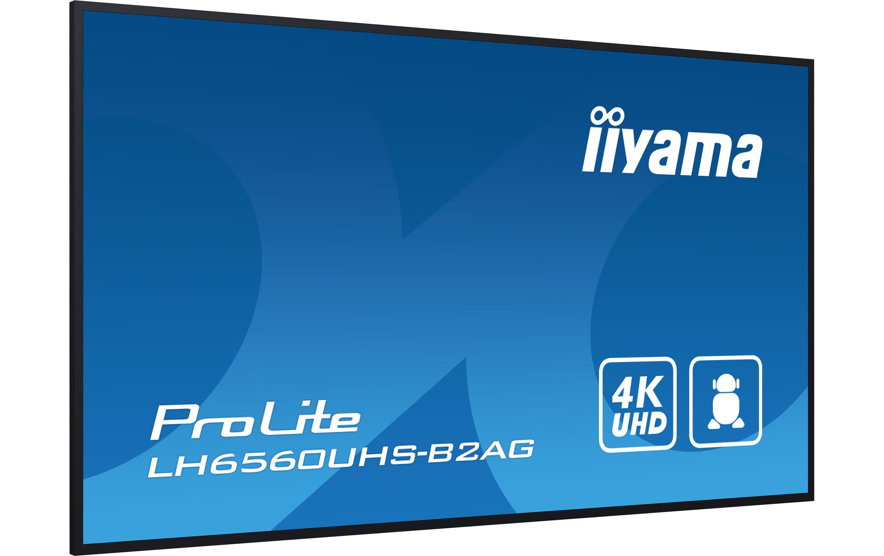 iiyama Public Display ProLite LH6560UHS-B2AG 65 "