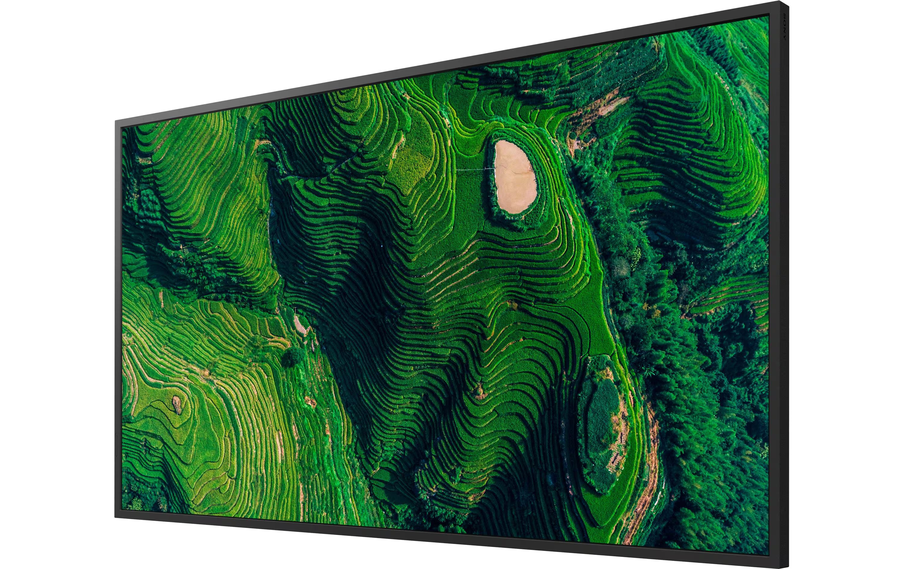 Sony Public Display FW-50BZ35PB 50 "