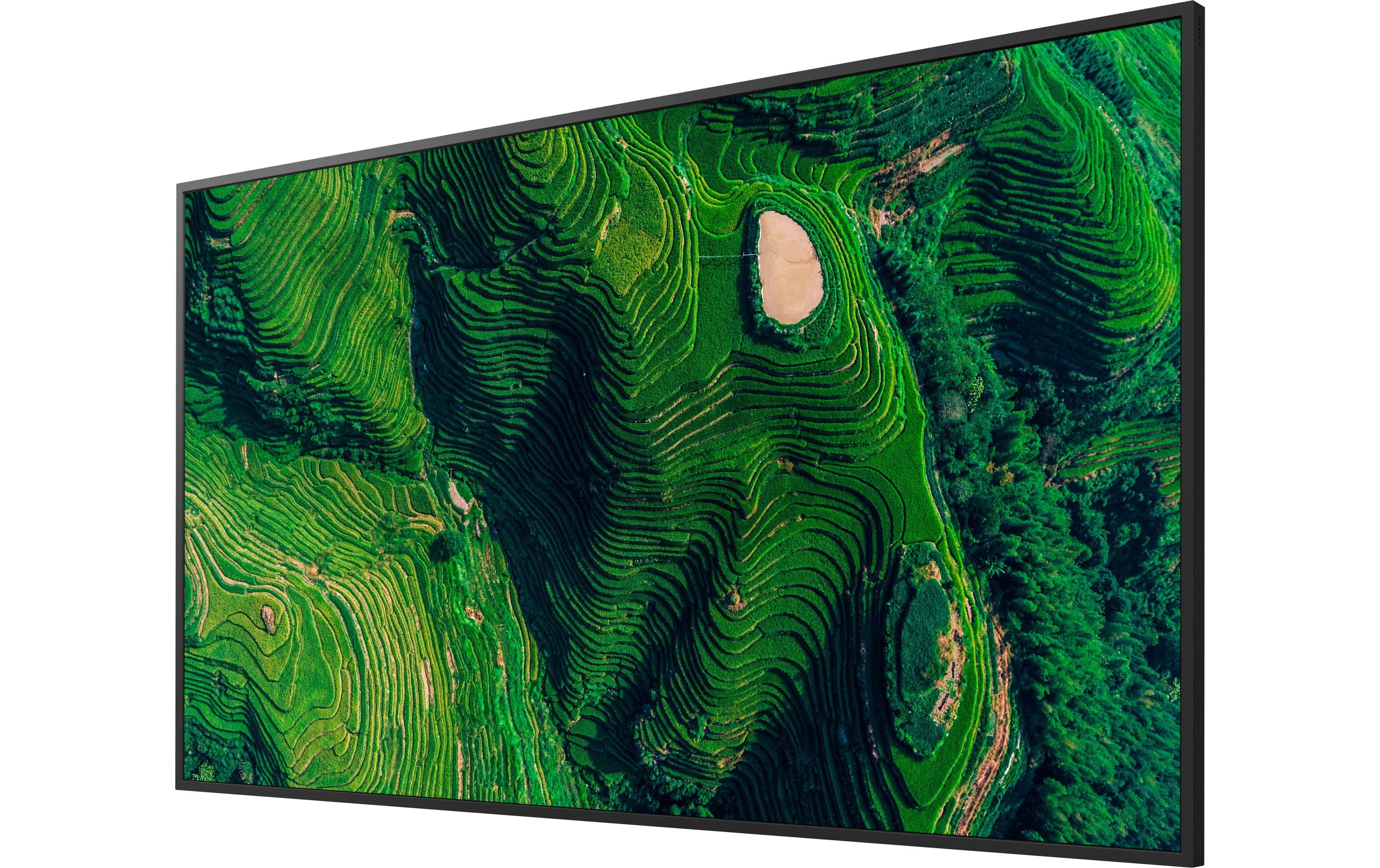 Sony Public Display FW-65BZ35PB 65 "