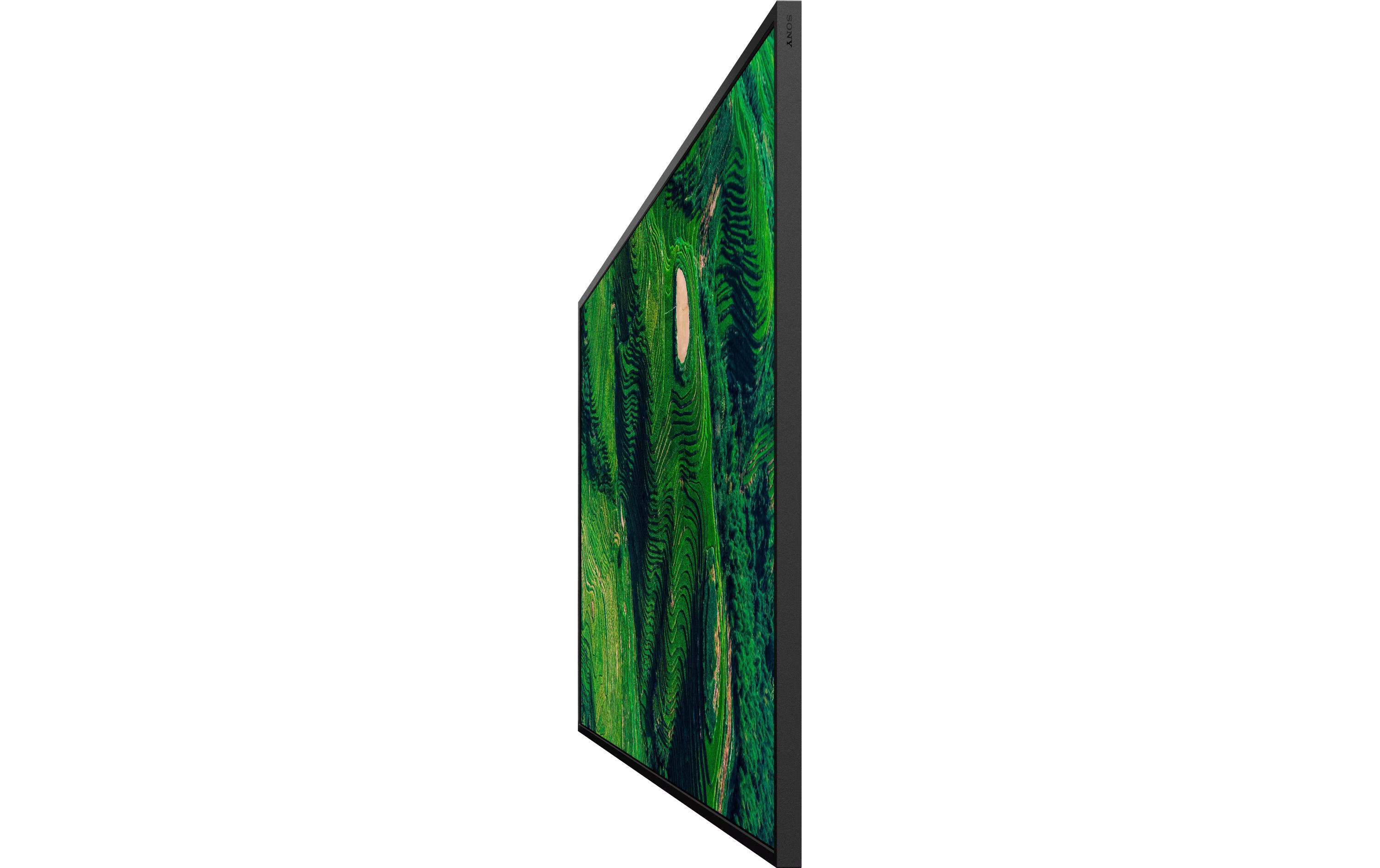 Sony Public Display FW-55BZ35PB 55 "