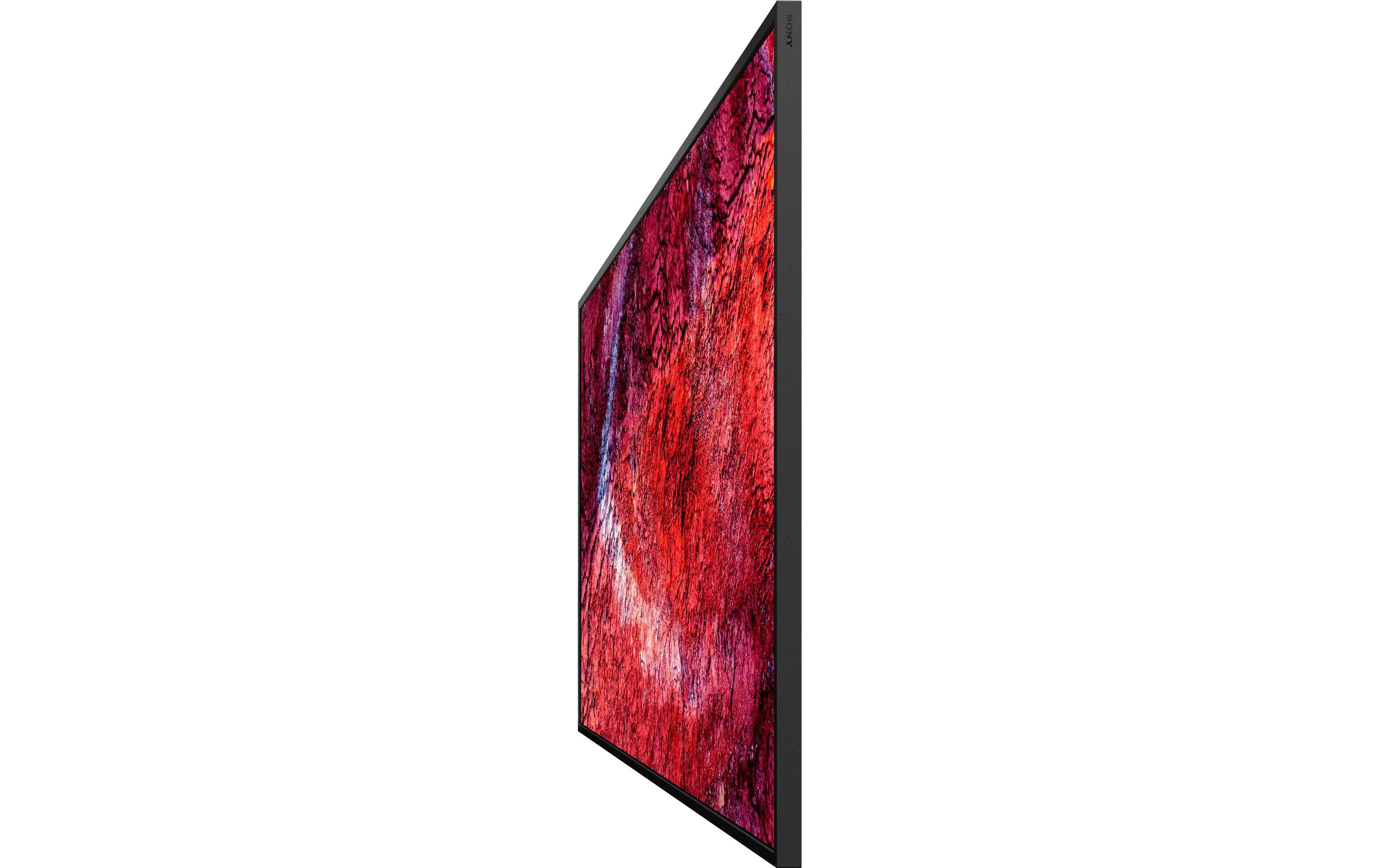 Sony Public Display FW-55BZ40PB 55 "