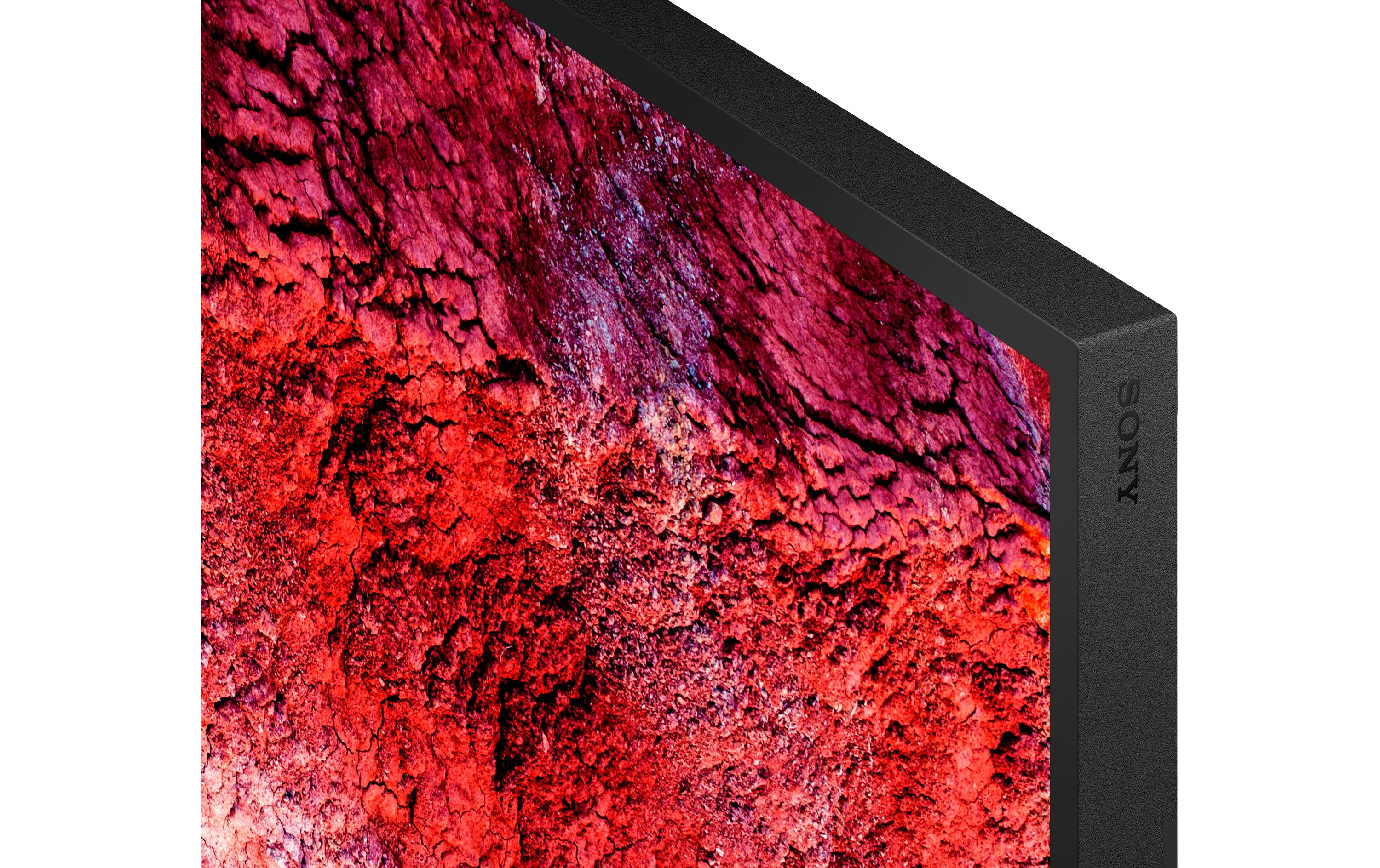 Sony Public Display FW-55BZ40PB 55 "