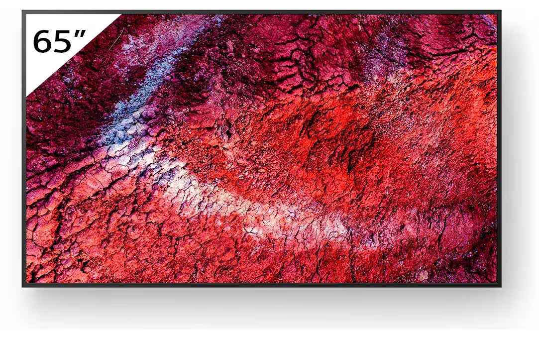 Sony Public Display FW-65BZ40PB 65 "