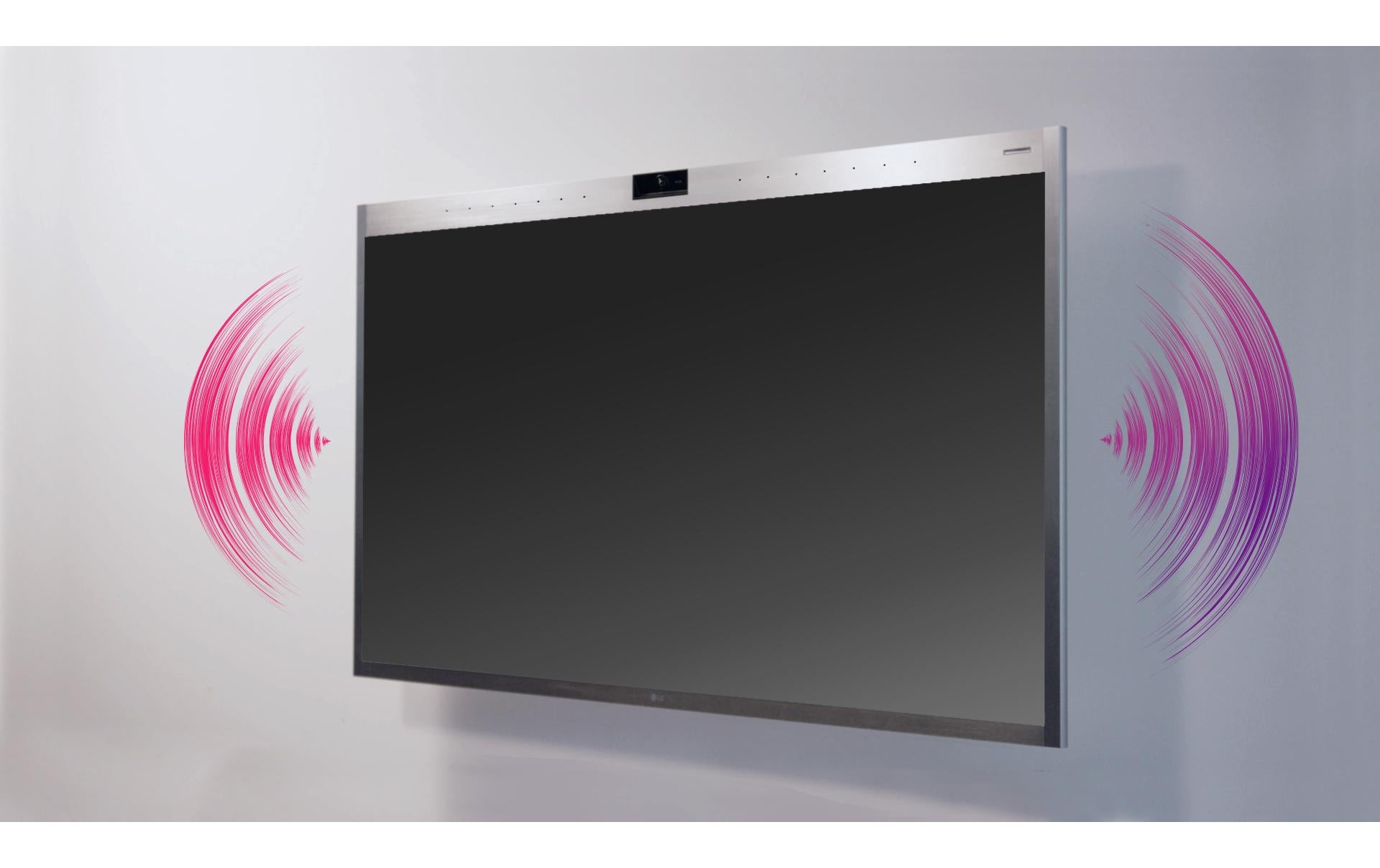 LG Touch Display 55CT5WJ-B In-Cell 55 "