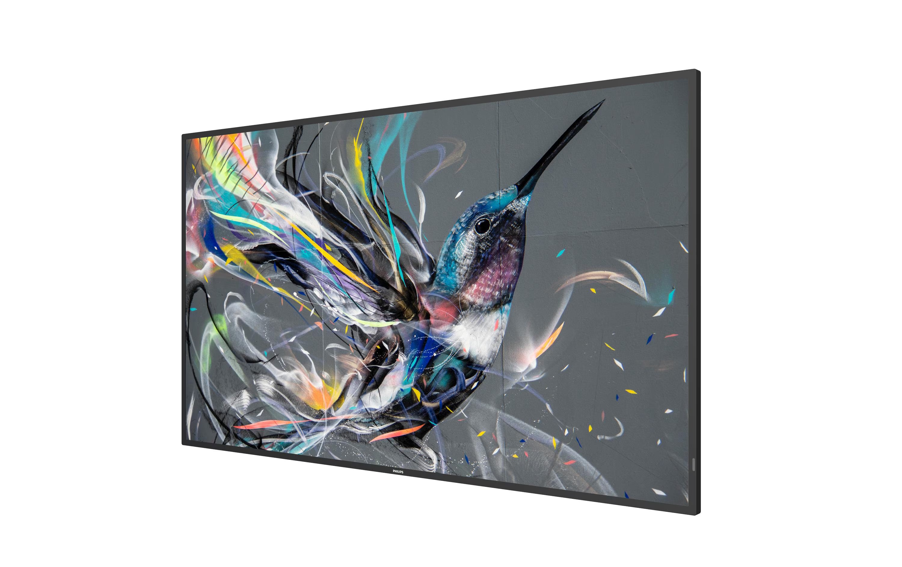 Philips Public Display Q-Line 55BDL3511Q/00 55 "
