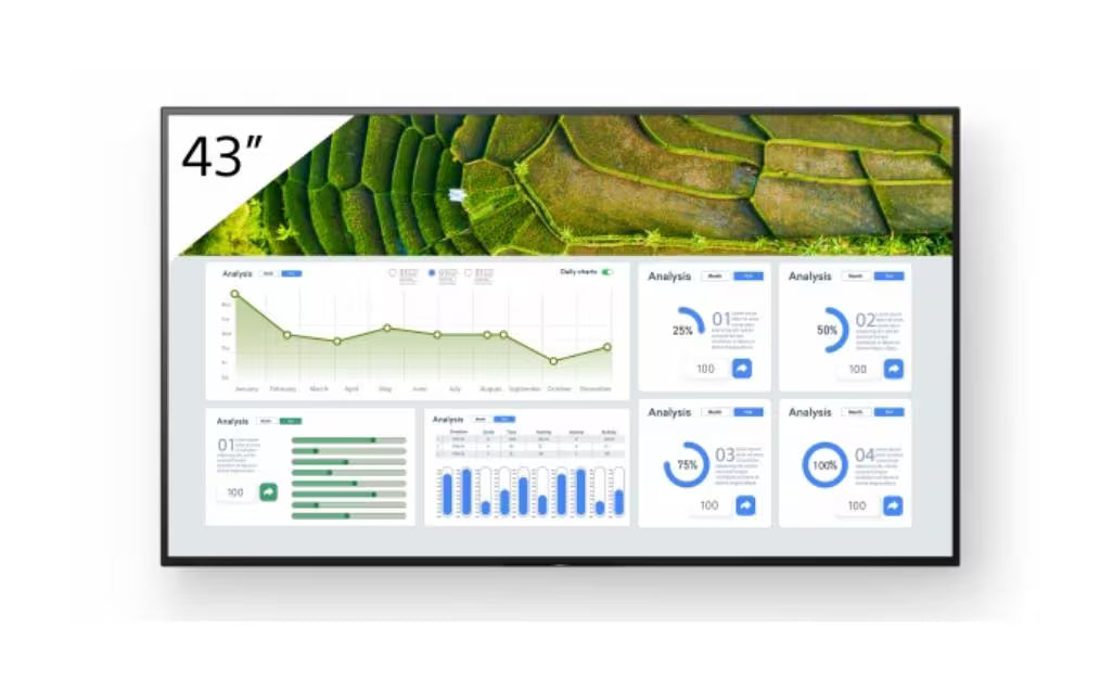 Sony Public Display FW-43BZ30L 43 "