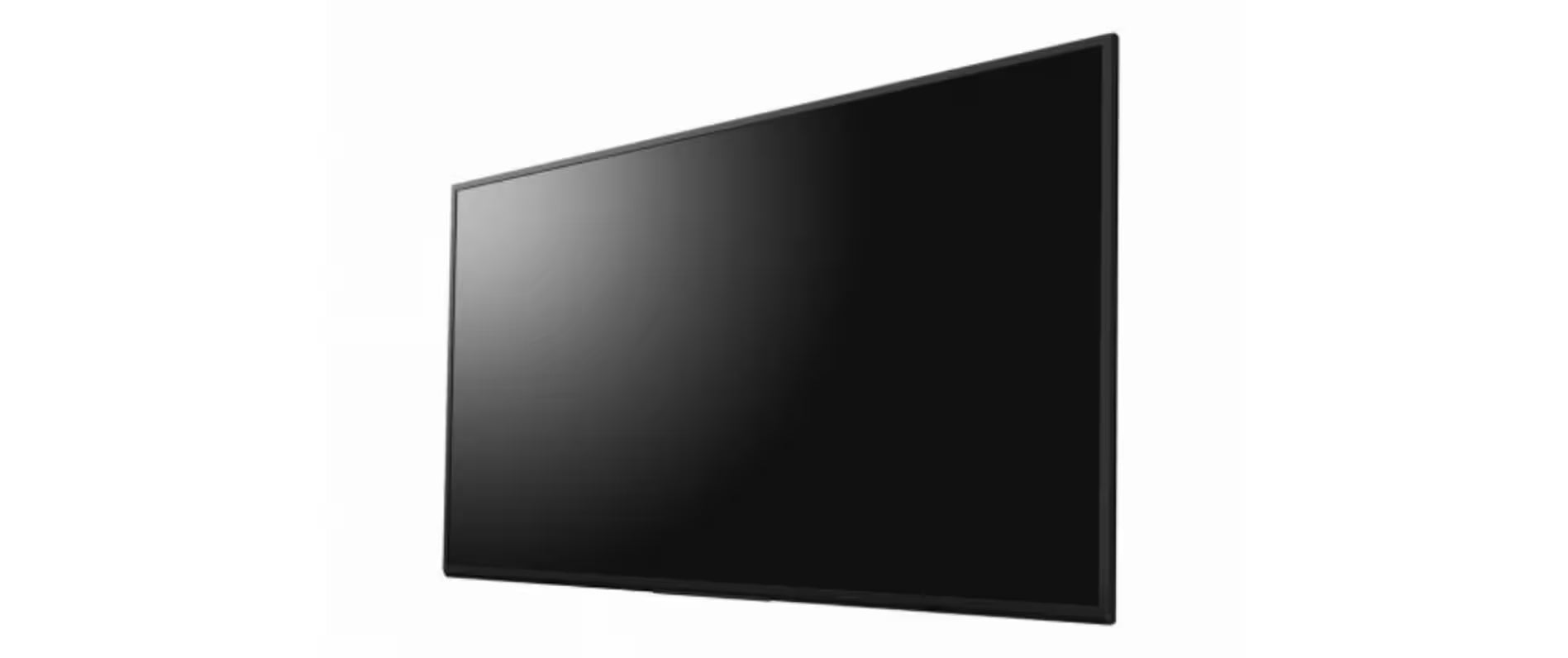Sony Public Display FW-43BZ30L 43 "