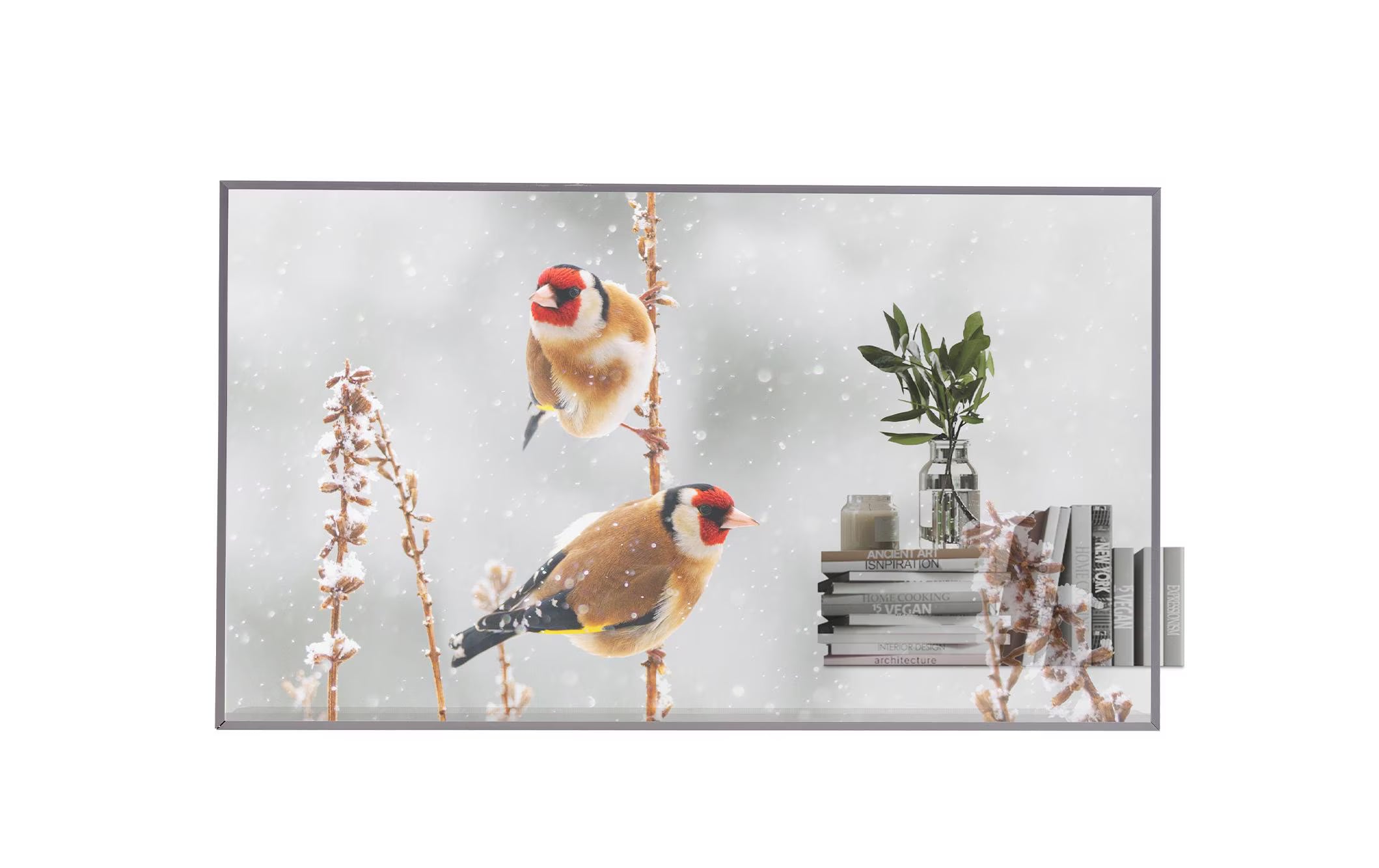 LG Public Display 55EW5P-M 55 "
