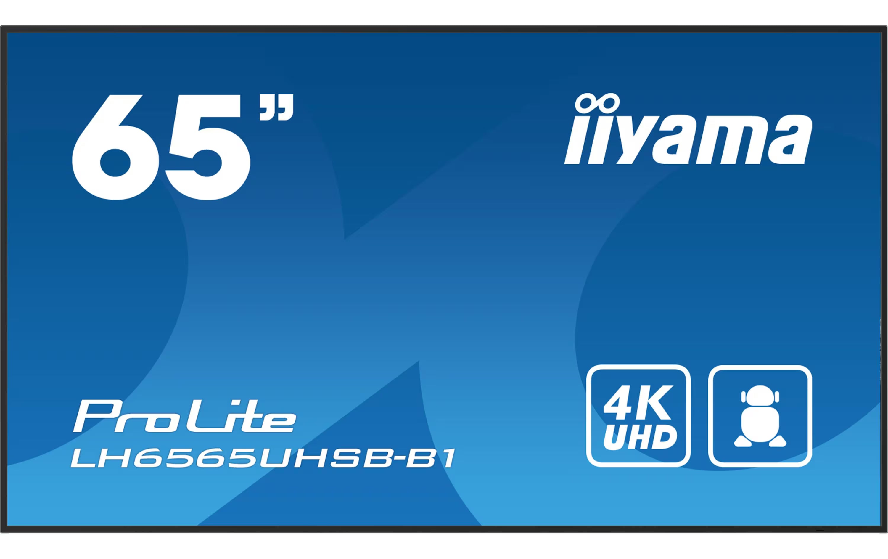 iiyama Public Display Pro Lite LH6565UHSB-B1 64.5 "