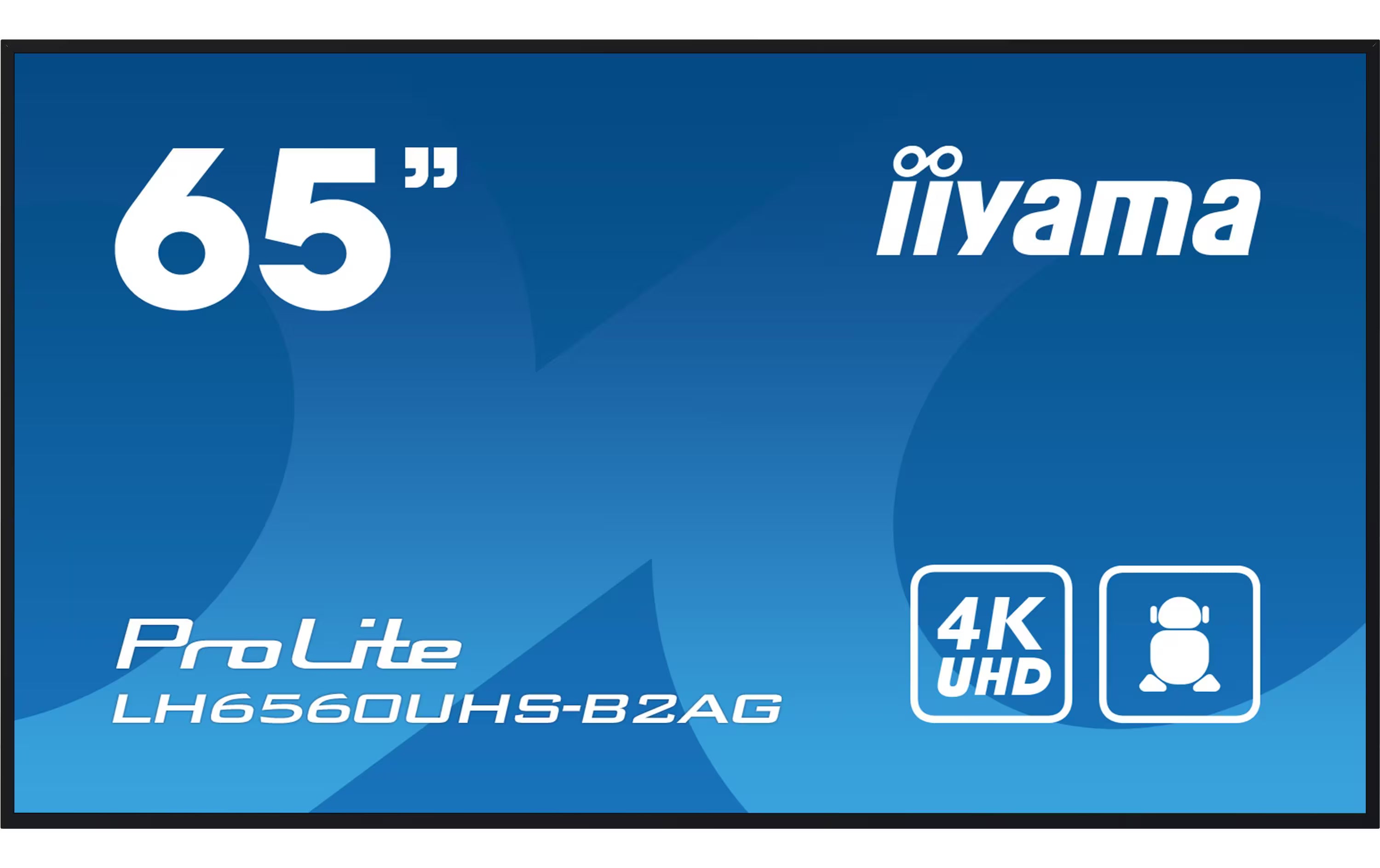 iiyama Public Display ProLite LH6560UHS-B2AG 65 "