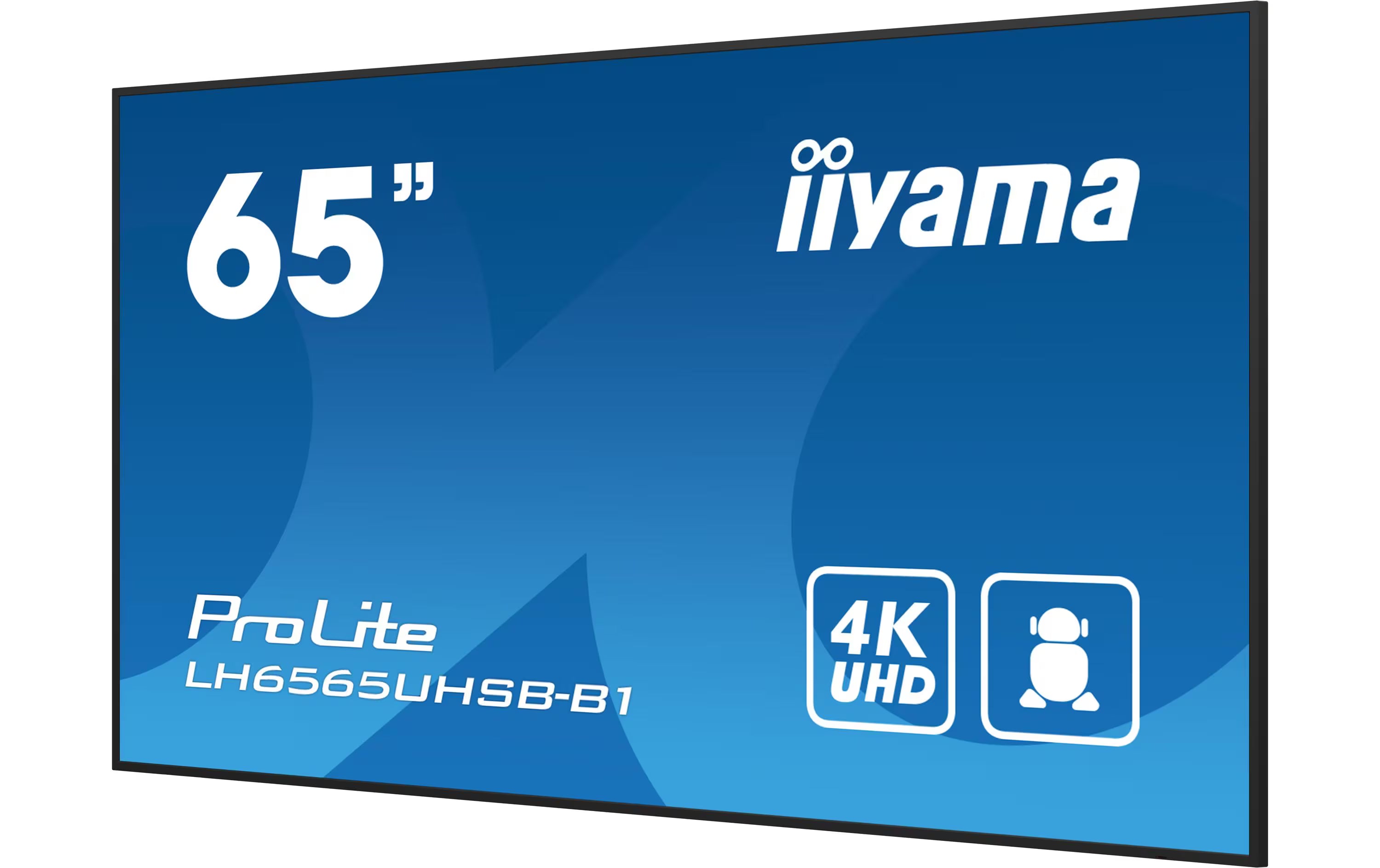 iiyama Public Display Pro Lite LH6565UHSB-B1 64.5 "