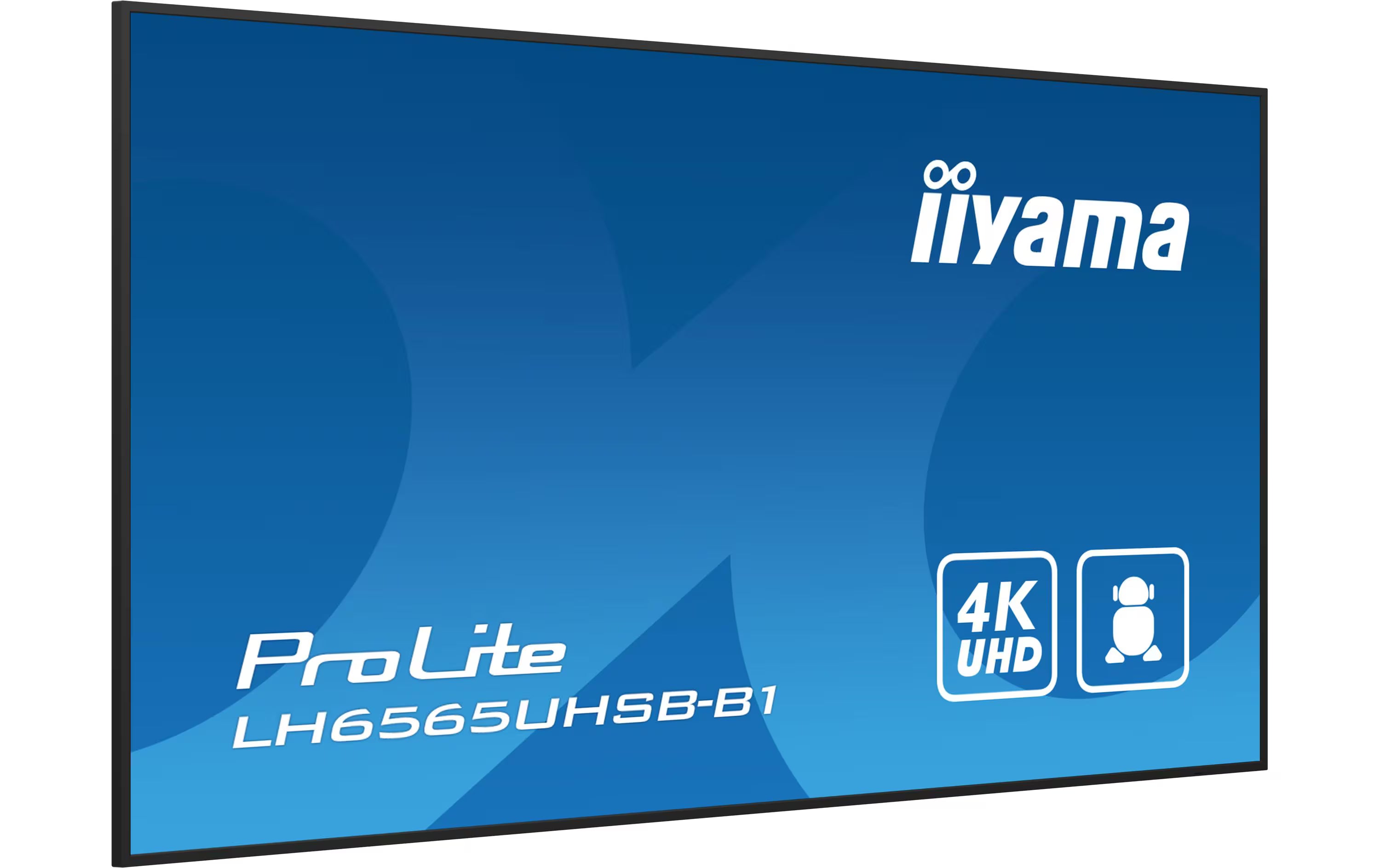 iiyama Public Display Pro Lite LH6565UHSB-B1 64.5 "