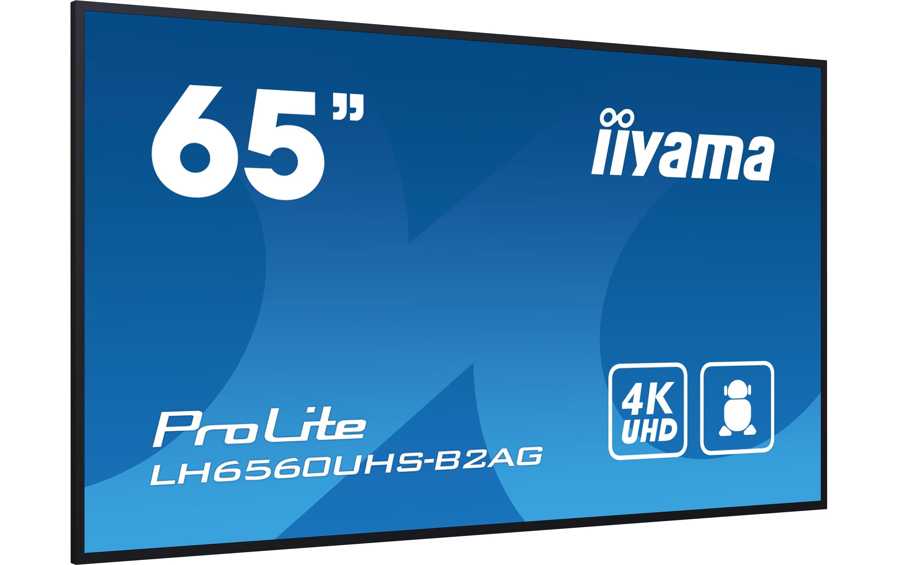 iiyama Public Display ProLite LH6560UHS-B2AG 65 "