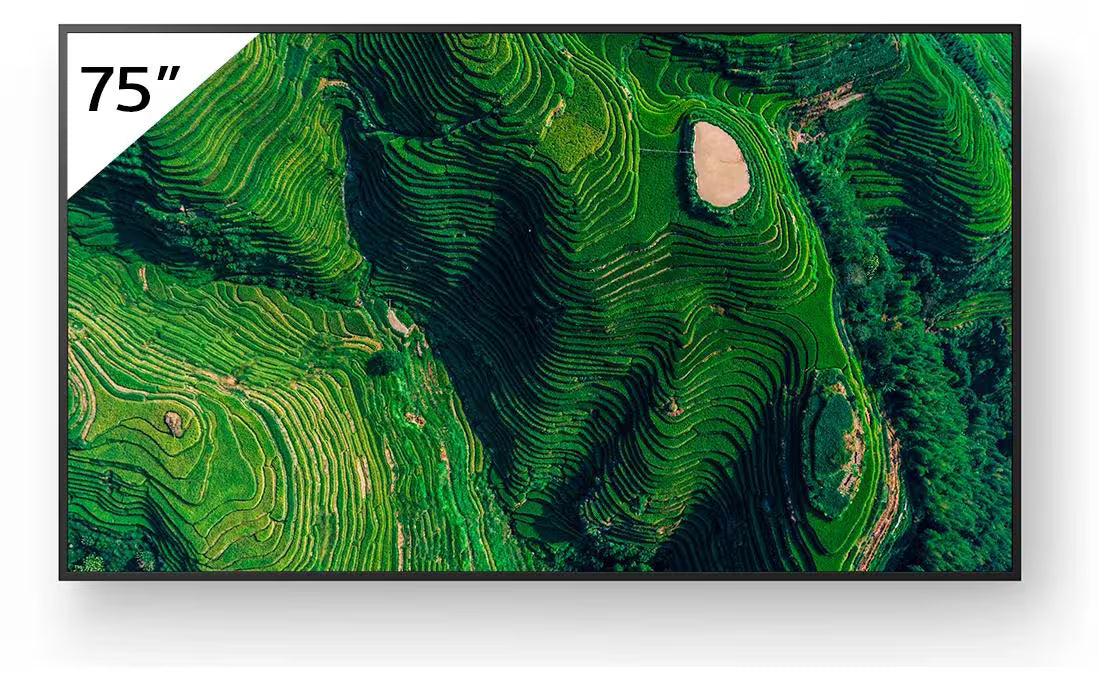 Sony Public Display FW-75BZ35PB 75 "